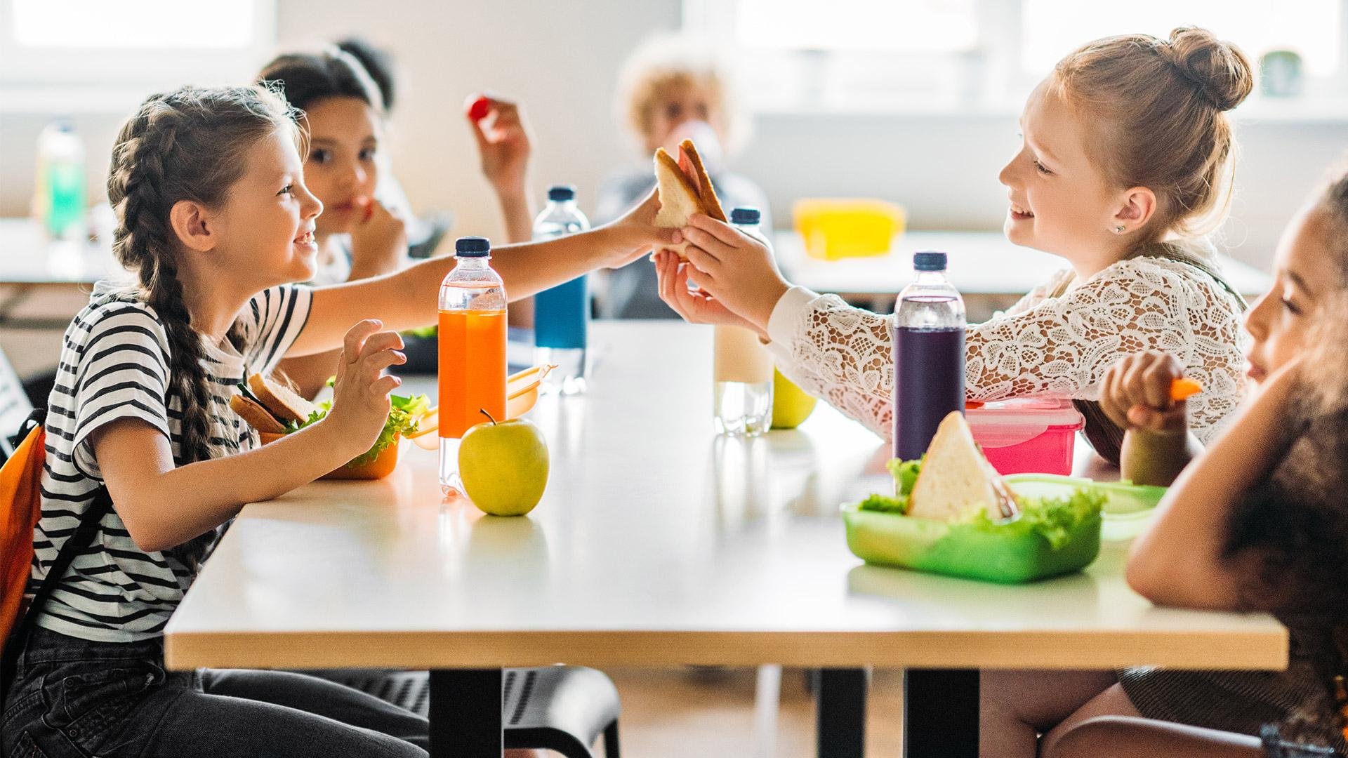 Məktəblilərin qidalanması