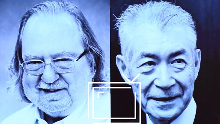 Xərçəng immunoterapiyası nədir? Tibb üzrə Nobel mükafatı laureatlarının kəşfini izah edirik.
