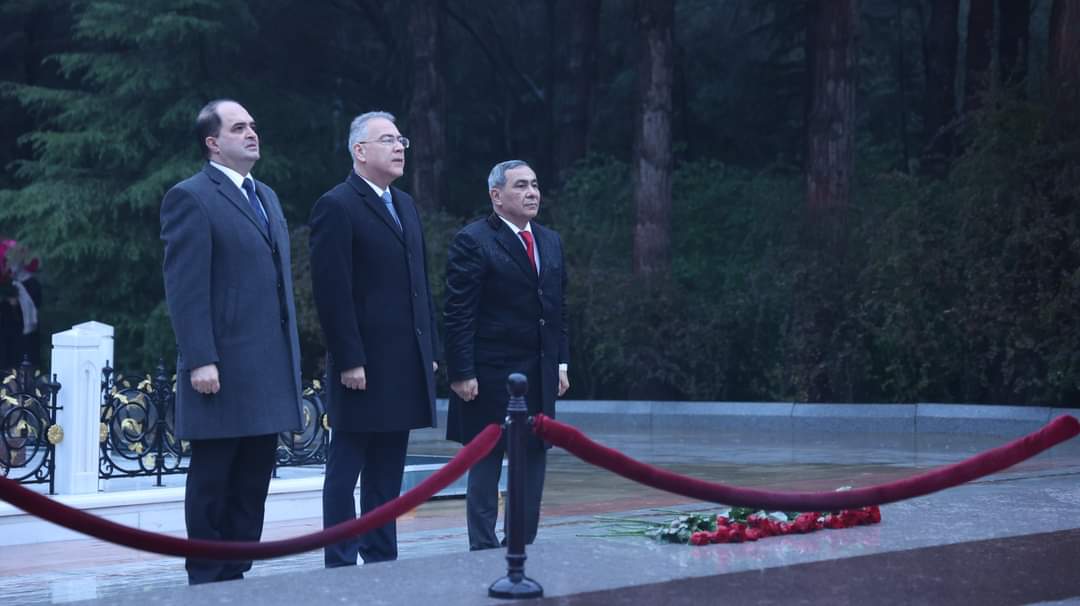 Ümummilli lider Heydər Əliyevin anım gününə həsr edilmiş “Azərbaycan-Türkiyə Neonatologiya Konqresi” həyata keçirilib