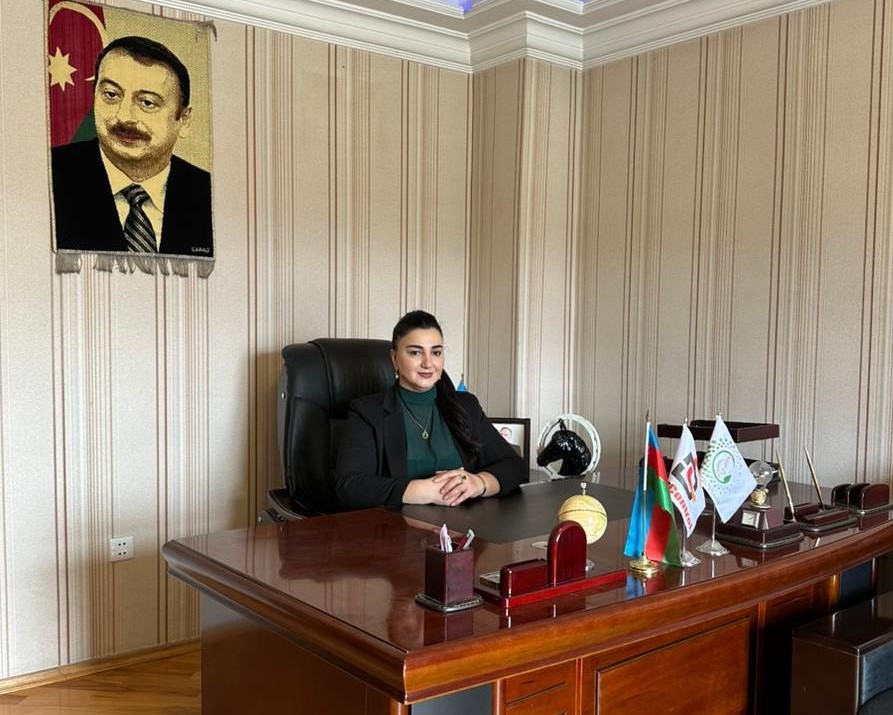 SAXTA İXTİSASLARIN AÇIQ İFŞASI